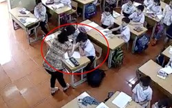 Sở GD&ĐT Hải Phòng lên tiếng vụ cô giáo tát học sinh đến mức nhập viện